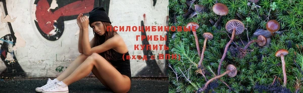 спайс Баксан
