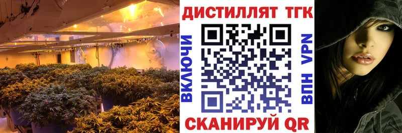 где найти наркотики  Таштагол  Дистиллят ТГК Wax 