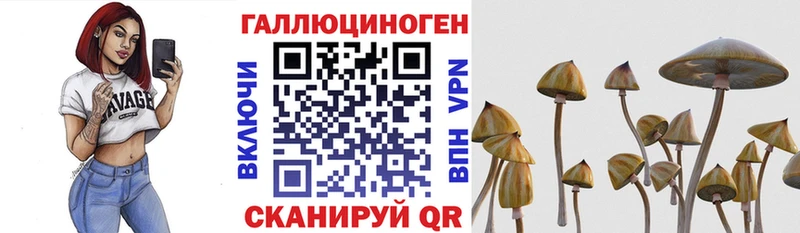 гидра ссылки  Таштагол  Галлюциногенные грибы Psilocybe 